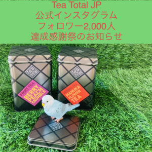 9E8B1EF1-6A9C-4F7F-BE19-2DA4EDD7A087